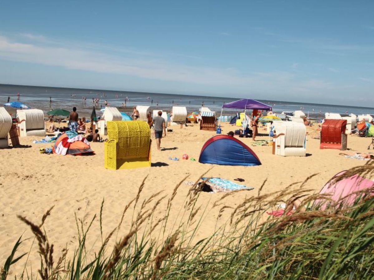 Schicke Fewo 150M Vom Strand Kostenlos Wlan Grosses Schwimmbad Sauna 쿡스하펜 객실 사진