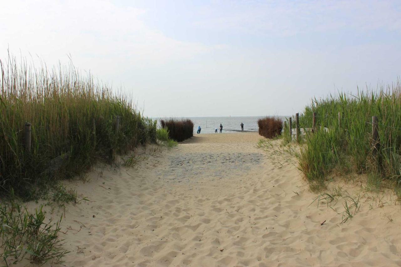 Schicke Fewo 150M Vom Strand Kostenlos Wlan Grosses Schwimmbad Sauna 쿡스하펜 외부 사진